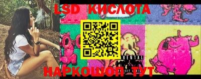 мескалин Камышлов
