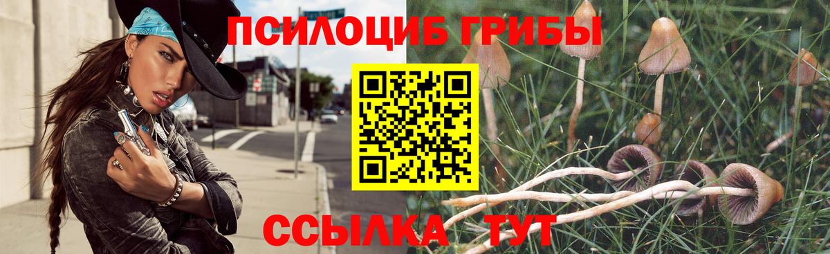 Кудымкар  Галлюциногенные грибы GOLDEN TEACHER  Вход с VPN  Псилоцибиновые грибы прущие грибы 